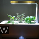 Image for article titled Click and Grow Smart Farm Review: Idiot-Proof Indoor Farming